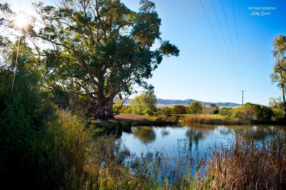 Still Earth Port Pirie Eksteriør billede
