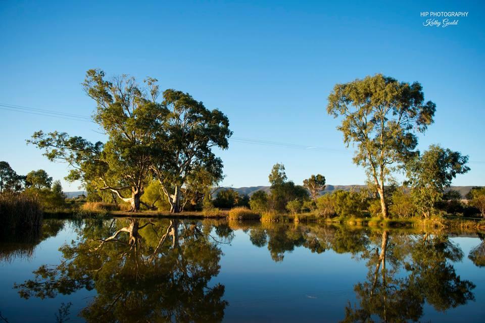 Still Earth Port Pirie Eksteriør billede